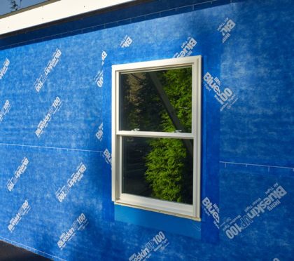 Henry Blue Skin covering