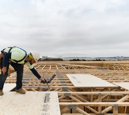 Advantech Sheathing